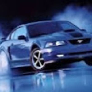 Meet your Posher, Marie